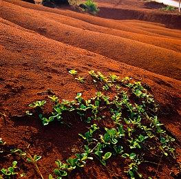 《使命召唤：黑色行动6》多人预告 本月开启抢先测试